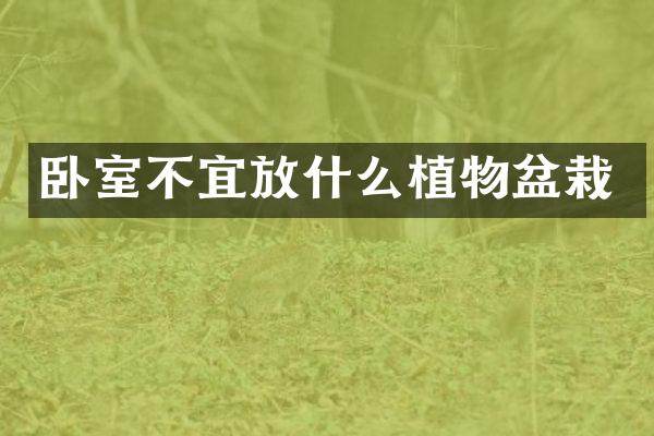 卧室不宜放什么植物盆栽