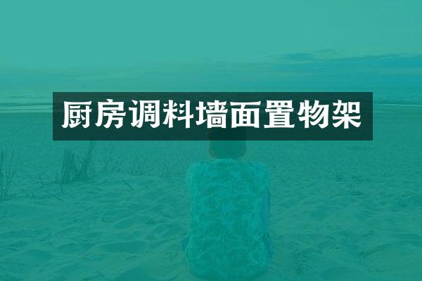 厨房调料墙面置物架