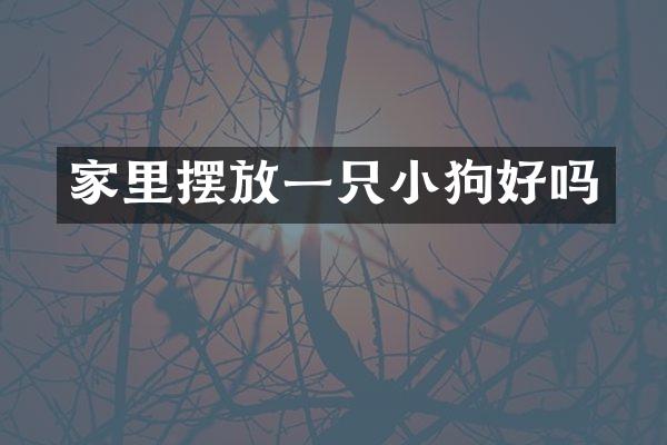 家里摆放一只小狗好吗