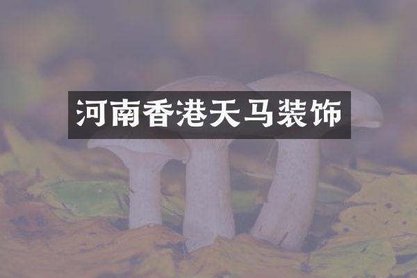 河南香港天马装饰