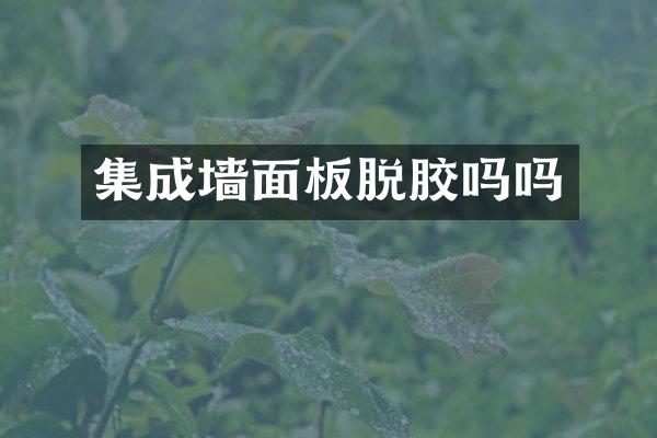 集成墙面板脱胶吗吗