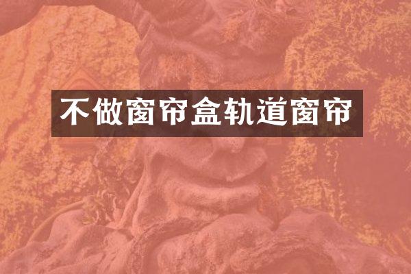不做窗帘盒轨道窗帘