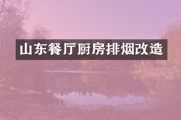 山东餐厅厨房排烟改造