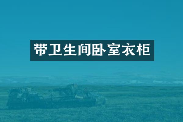 带卫生间卧室衣柜