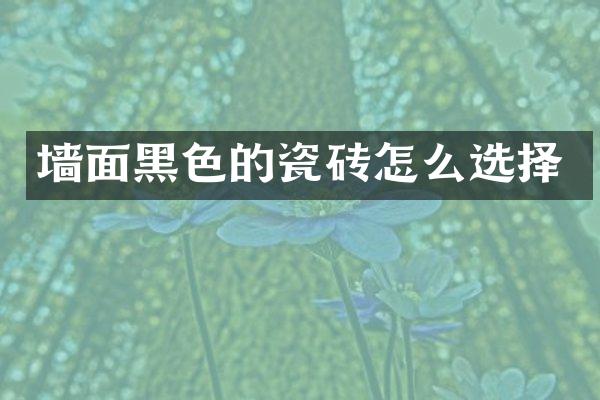 墙面黑色的瓷砖怎么选择