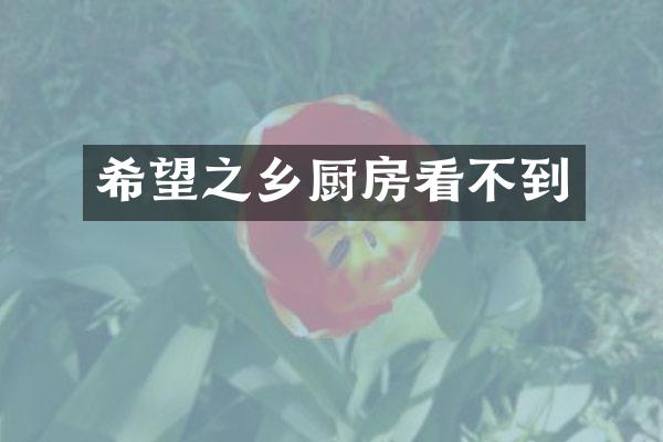 希望之乡厨房看不到