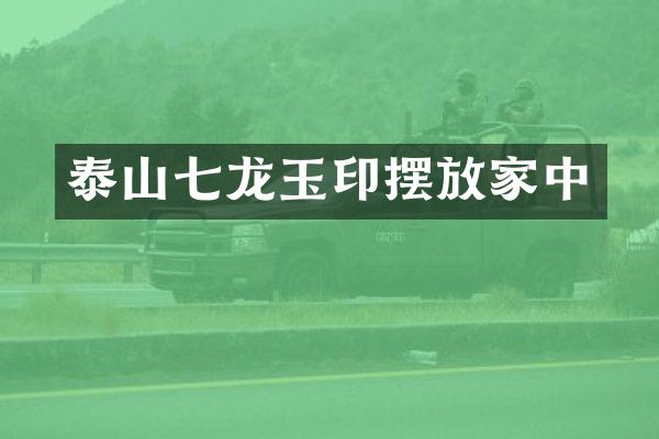 泰山七龙玉印摆放家中