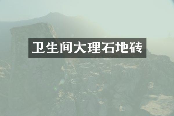 卫生间大理石地砖