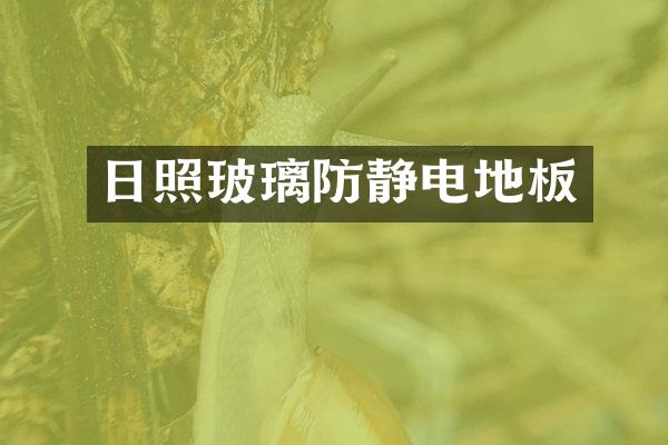 日照玻璃防静电地板