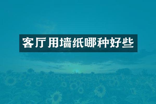 客厅用墙纸哪种好些
