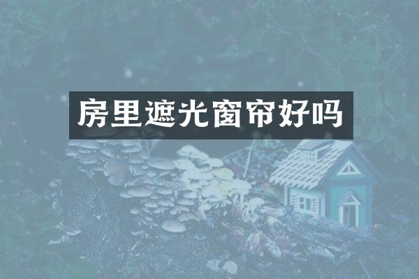 房里遮光窗帘好吗