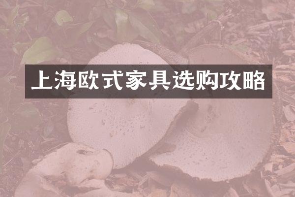 上海欧式家具选购攻略