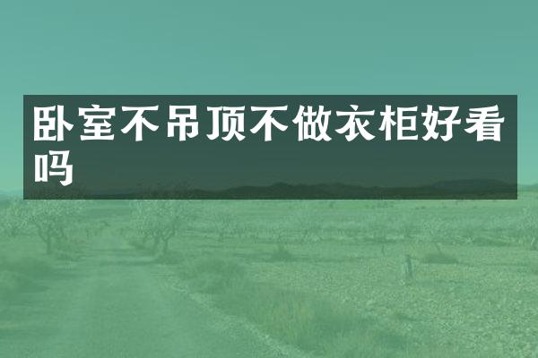 卧室不吊顶不做衣柜好看吗