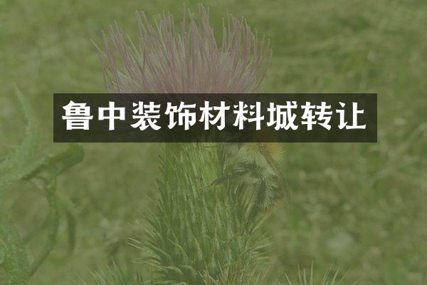 鲁中装饰材料城转让