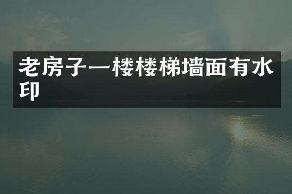 老房子一楼楼梯墙面有水印