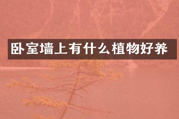 卧室墙上有什么植物好养