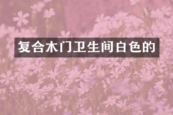 复合木门卫生间白色的