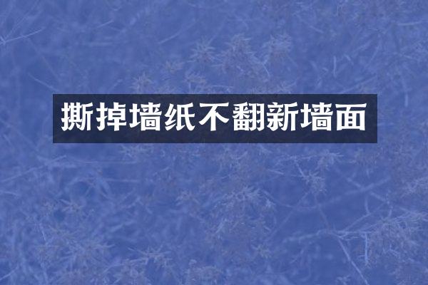 撕掉墙纸不翻新墙面