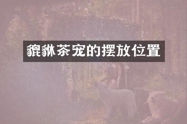 貔貅茶宠的摆放位置