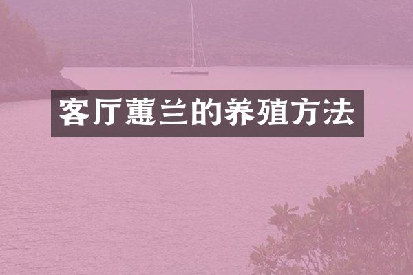 客厅蕙兰的养殖方法