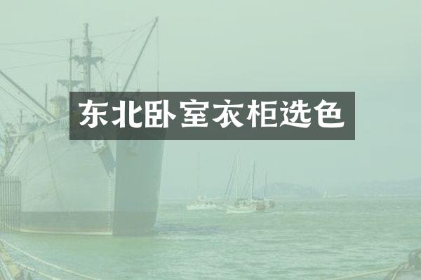 东北卧室衣柜选色