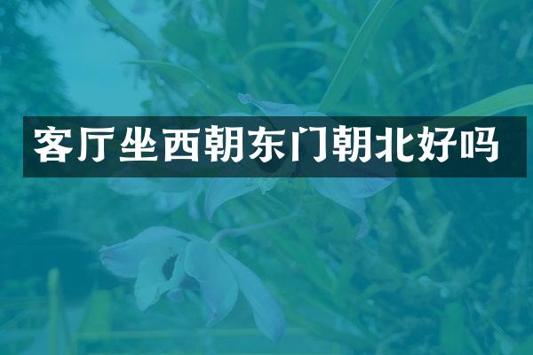 客厅坐西朝东门朝北好吗