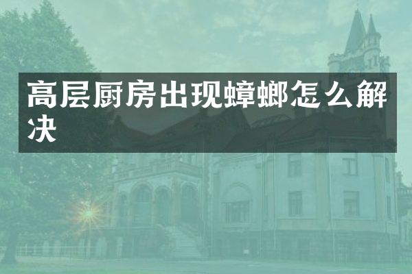 高层厨房出现蟑螂怎么解决