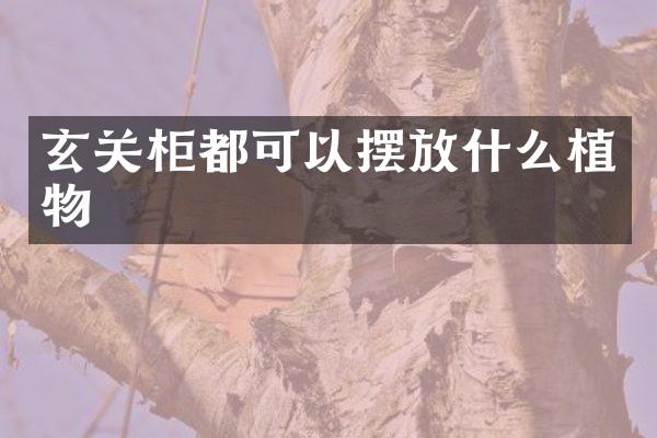 玄关柜都可以摆放什么植物