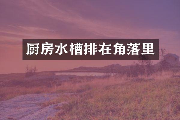 厨房水槽排在角落里