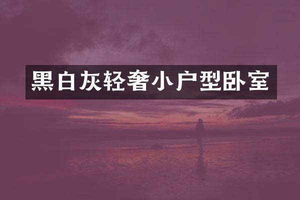 黑白灰轻奢小户型卧室