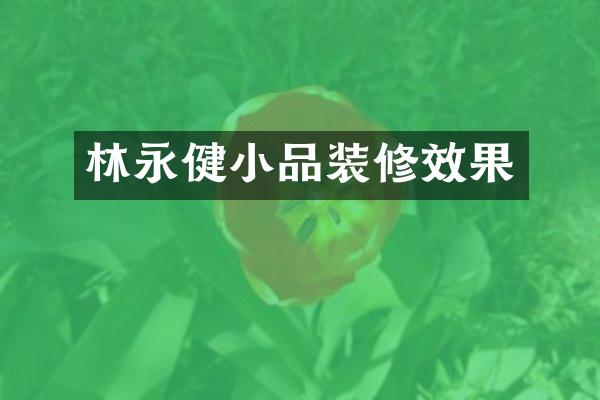 林永健小品装修效果