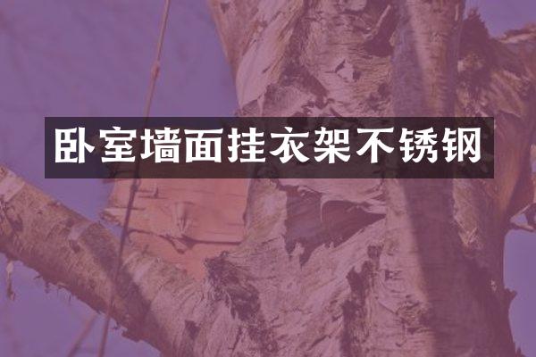 卧室墙面挂衣架不锈钢