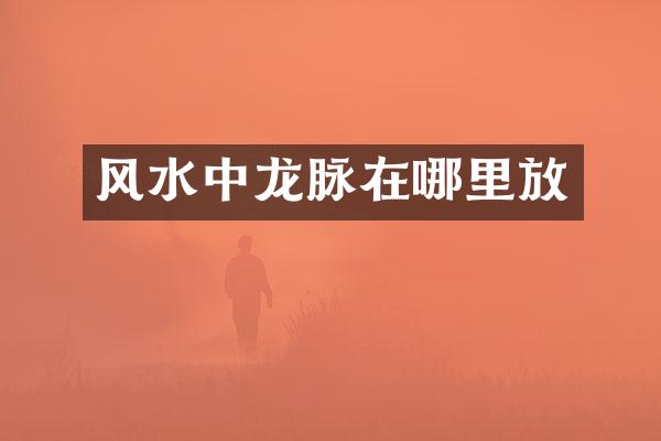 风水中龙脉在哪里放