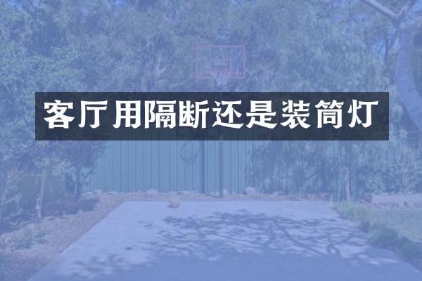客厅用隔断还是装筒灯