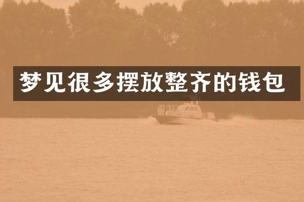 梦见很多摆放整齐的钱包