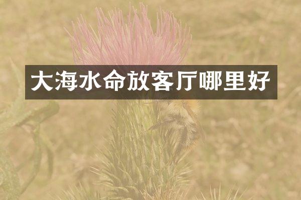 大海水命放客厅哪里好
