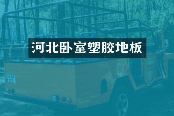 河北卧室塑胶地板
