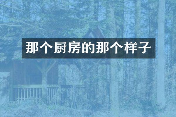 那个厨房的那个样子