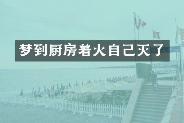 梦到厨房着火自己灭了