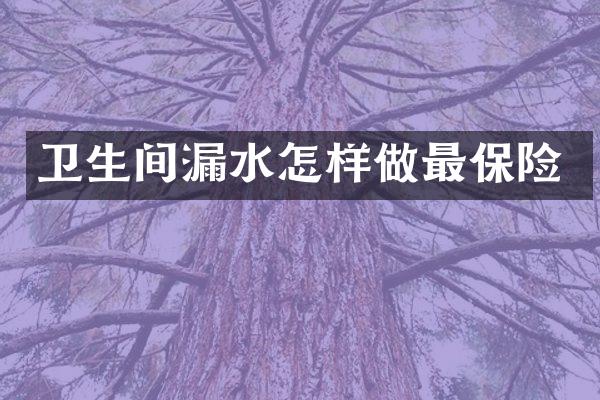 卫生间漏水怎样做最保险