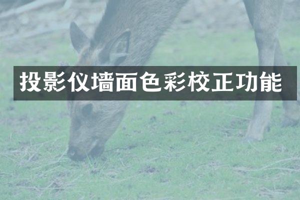 投影仪墙面色彩校正功能