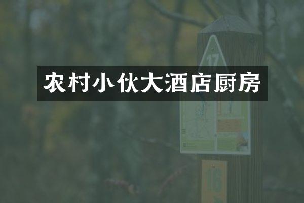 农村小伙大酒店厨房