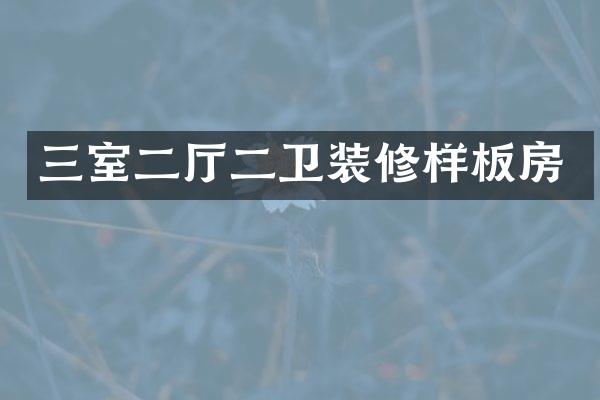 三室二厅二卫装修样板房