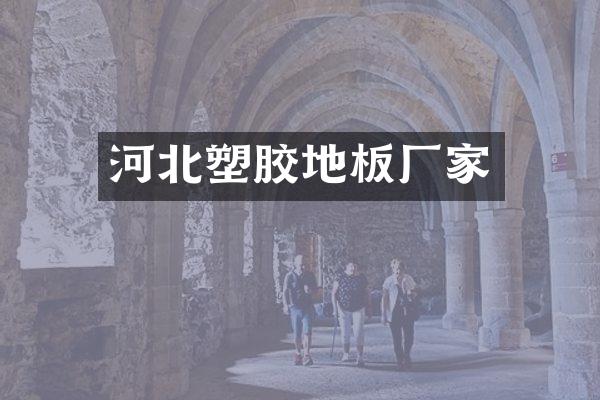 河北塑胶地板厂家