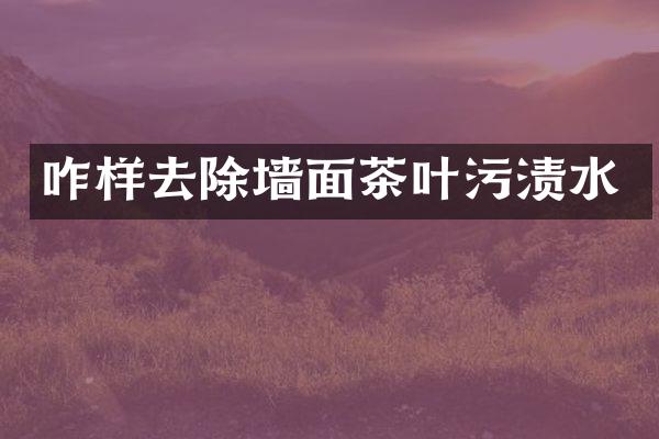 咋样去除墙面茶叶污渍水