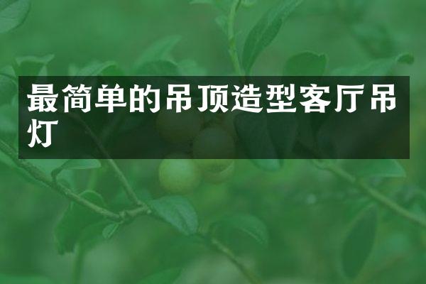 最简单的吊顶造型客厅吊灯