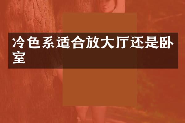 冷色系适合放大厅还是卧室