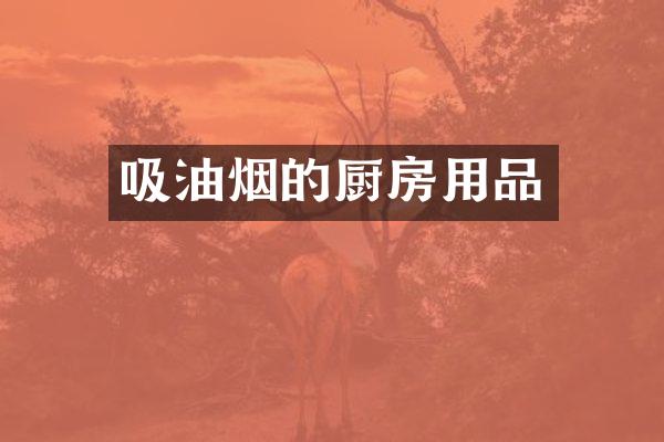 吸油烟的厨房用品