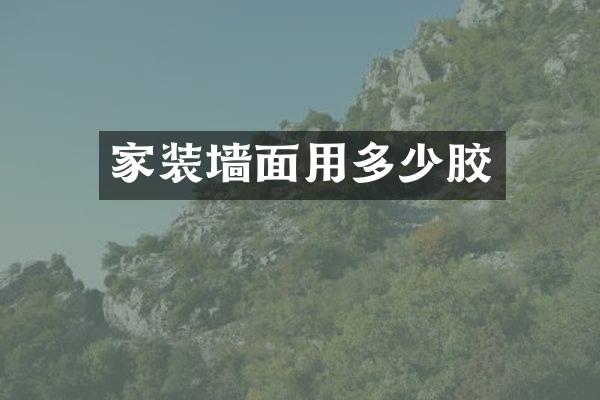 家装墙面用多少胶