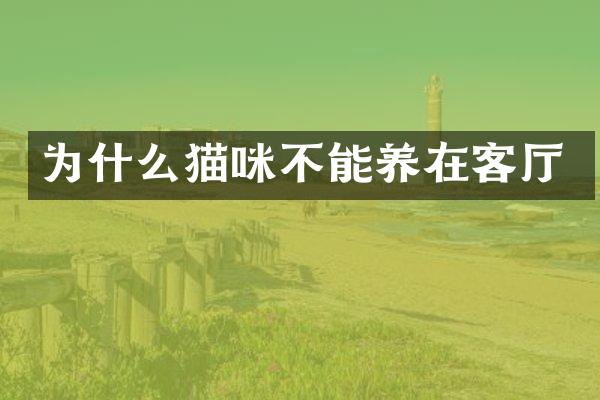为什么猫咪不能养在客厅